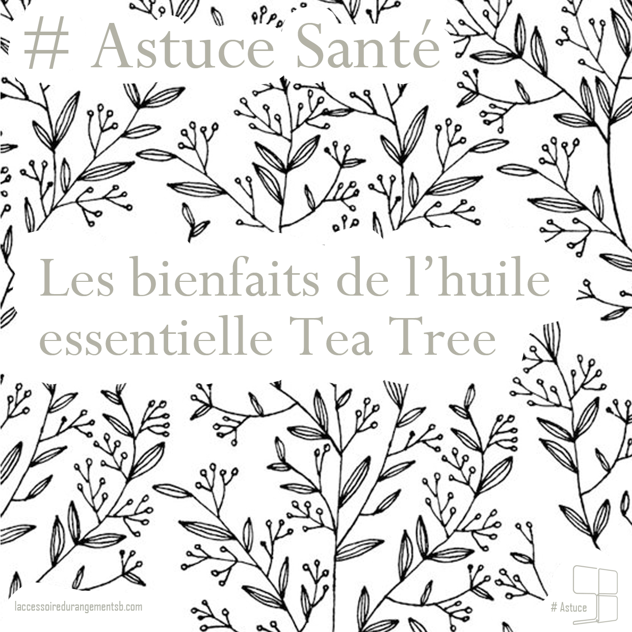 astuce_-sante_huile-essentielle-tea-tree