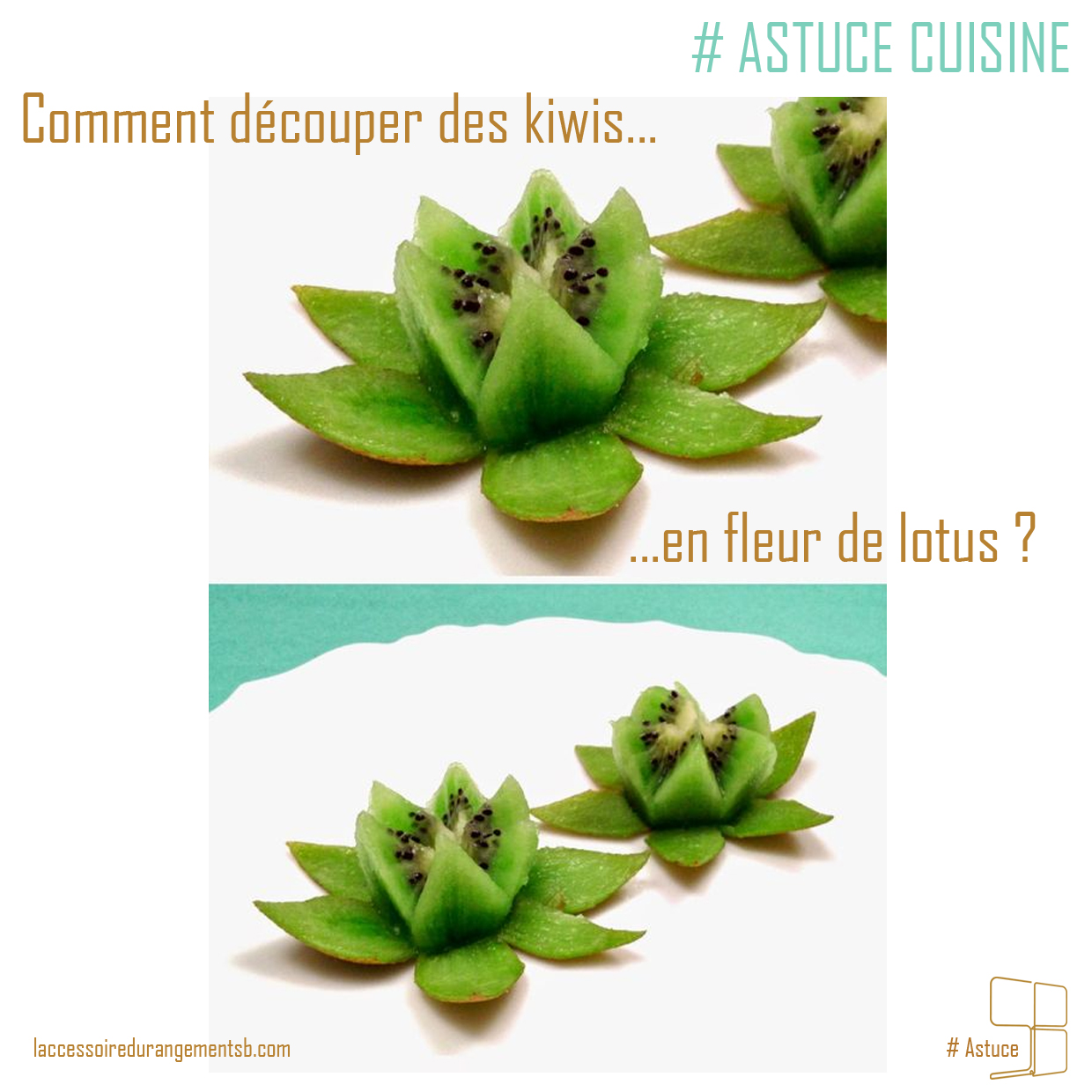 astuce_-decouper-un-kiwi-en-fleur-de-lotus